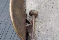 Plank Antal: Gördeszka szobor Budapest