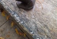 Plank Antal: Kávéscsésze miniszobor Budapest