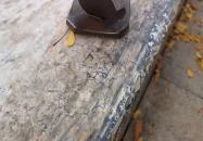 Plank Antal: Kávéscsésze miniszobor Budapest