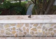 Plank Antal miniszobrai Miskolctapolca