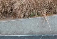 Plank Antal: pénztárca miniszobor Budapest