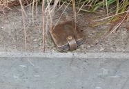 Plank Antal: pénztárca miniszobor Budapest