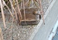 Plank Antal: pénztárca miniszobor Budapest