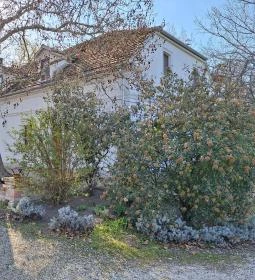 Platános Kúria Equestrian Mansion