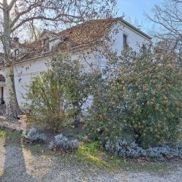 Platános Kúria Equestrian Mansion Balástya - Külső kép