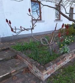 Platános Kúria Equestrian Mansion