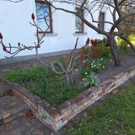 Platános Kúria Equestrian Mansion Balástya - Egyéb