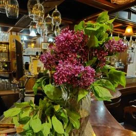 Polo Pub Budapest - Egyéb