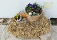 Pomázi Néprajzi Gyűjtemény Pomáz