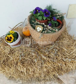 Pomázi Néprajzi Gyűjtemény