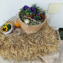 Pomázi Néprajzi Gyűjtemény, Pomáz - Egyéb