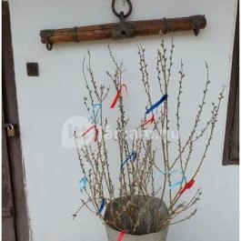 Pomázi Néprajzi Gyűjtemény, Pomáz - Egyéb