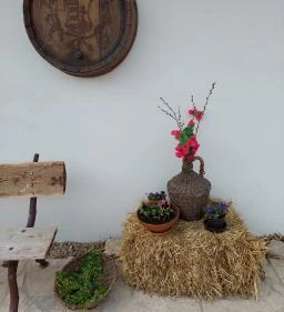 Pomázi Néprajzi Gyűjtemény