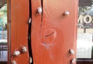 Pörbölyi Ökoturisztikai Központ Pörböly