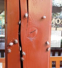 Pörbölyi Ökoturisztikai Központ