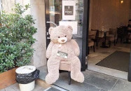 Premier Kultcafé Budapest