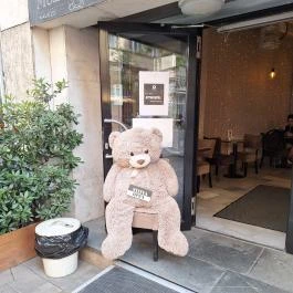 Premier Kultcafé Budapest - Egyéb