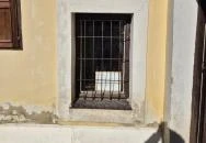 Pungor Zoltán Múzeum Csempeszkopács