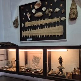 Pungor Zoltán Múzeum Csempeszkopács - Egyéb