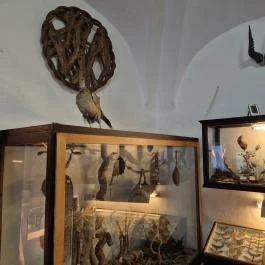 Pungor Zoltán Múzeum Csempeszkopács - Egyéb