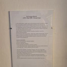 Pungor Zoltán Múzeum Csempeszkopács - Egyéb