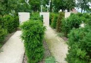 Pünkösdi liget Tihany