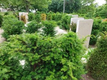 Pünkösdi liget Tihany