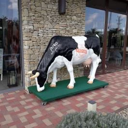 Punto Cukrászda & Bistro & Pizzéria Budaörs - Egyéb