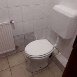 Puskás Akadémia Sport és Wellness Hotel étterme, Alcsútdoboz - Mosdó