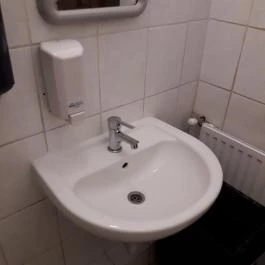 Puskás Akadémia Sport és Wellness Hotel étterme, Alcsútdoboz - Mosdó