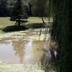 Puskás Akadémia Sport és Wellness Hotel étterme Alcsútdoboz - Külső kép