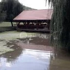 Puskás Akadémia Sport és Wellness Hotel étterme Alcsútdoboz - Külső kép