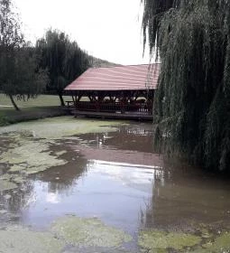 Puskás Akadémia Sport és Wellness Hotel étterme
