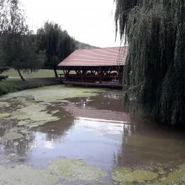 Puskás Akadémia Sport és Wellness Hotel étterme, Alcsútdoboz - Külső kép