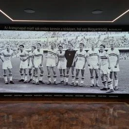 Puskás Múzeum Budapest - Egyéb