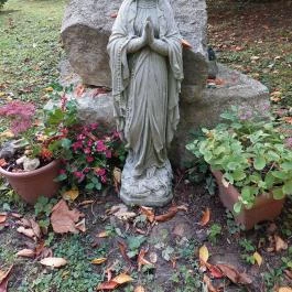 Püspökszentlászlói Arborétum Püspökszentlászló - Egyéb