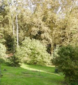 Püspökszentlászlói Arborétum