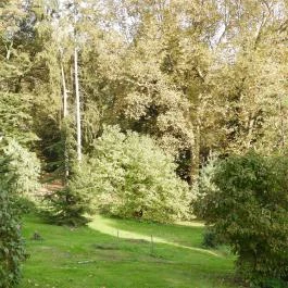 Püspökszentlászlói Arborétum Püspökszentlászló - Külső kép