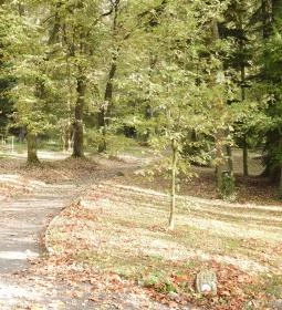 Püspökszentlászlói Arborétum