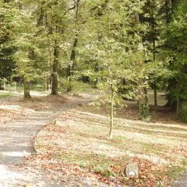 Püspökszentlászlói Arborétum Püspökszentlászló - Külső kép