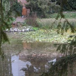 Püspökszentlászlói Arborétum Püspökszentlászló - Külső kép