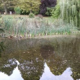 Püspökszentlászlói Arborétum Püspökszentlászló - Külső kép