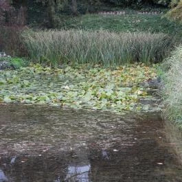 Püspökszentlászlói Arborétum Püspökszentlászló - Külső kép