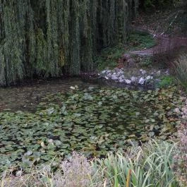 Püspökszentlászlói Arborétum Püspökszentlászló - Külső kép