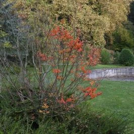 Püspökszentlászlói Arborétum Püspökszentlászló - Külső kép