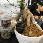 Quán Nón Vietnámi Étterem - Erzsébet tér Budapest - Belső