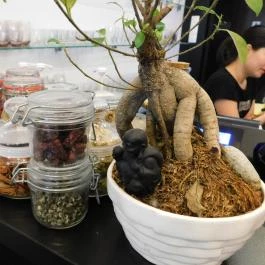 Quán Nón Vietnámi Étterem - Erzsébet tér Budapest - Belső