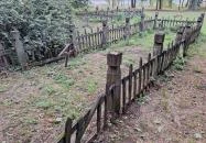 Rádligeti Árpád-kori romtemplom Balatonlelle