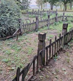 Rádligeti Árpád-kori romtemplom