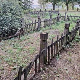 Rádligeti Árpád-kori romtemplom Balatonlelle - Külső kép